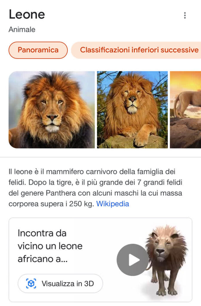 Cosa vuol dire realtà aumentata - Risultato della ricerca di "Leone" su Google